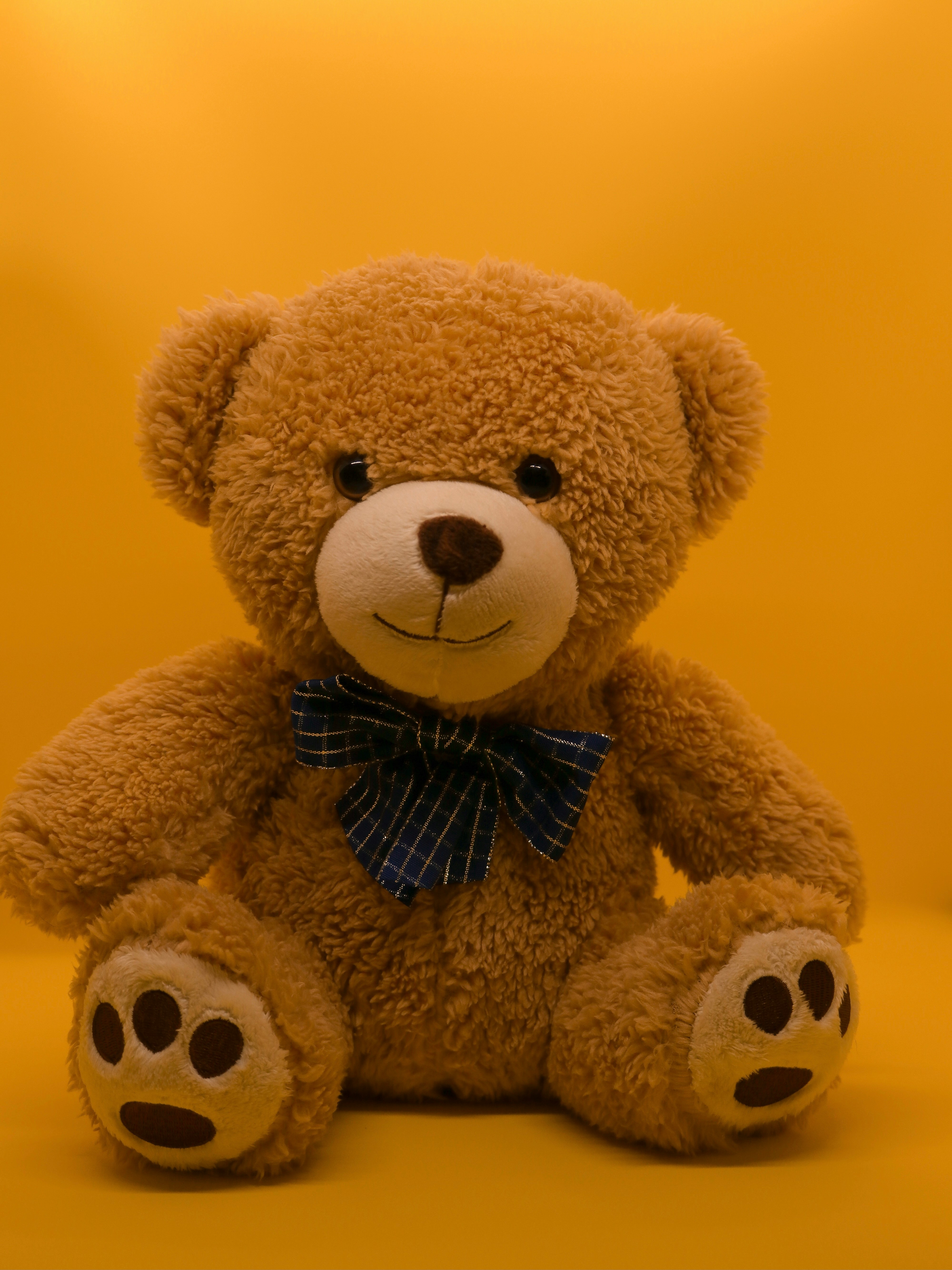Atelier fabrication de son nounours